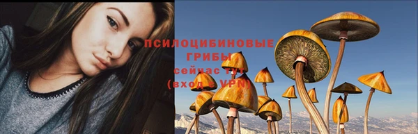 ALPHA PVP Касимов