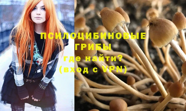 шишки Карпинск