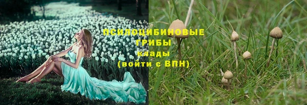 шишки Карпинск