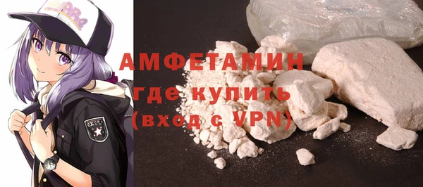 шишки Карпинск